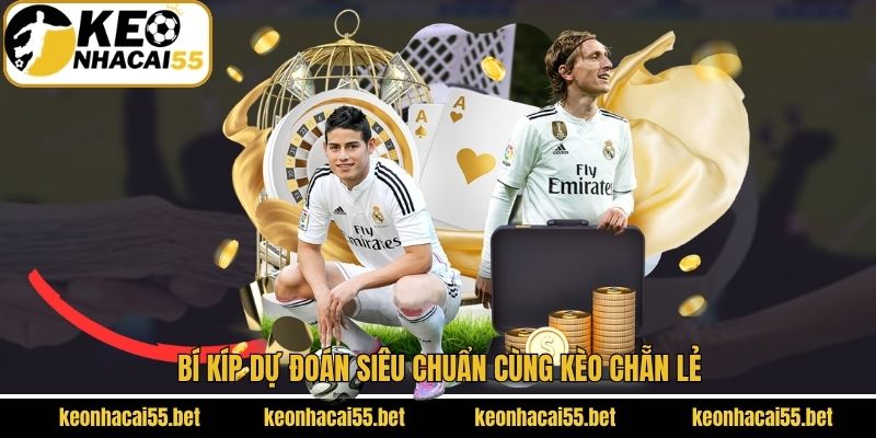 Kinh nghiệm dự đoán siêu chuẩn khi cược chẵn lẻ