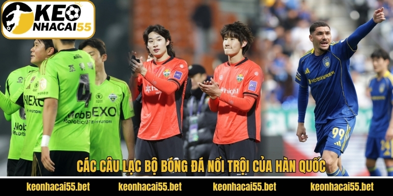 Hàn Quốc - Nền Bóng Đá Nổi Tiếng Hàng Đầu Của Châu Á 4 Những câu lạc bộ bóng đá nổi trội