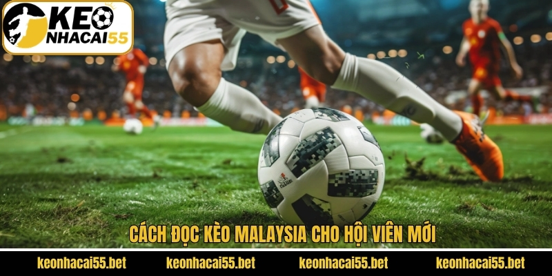 Cách đọc kèo Malaysia cho hội viên mới