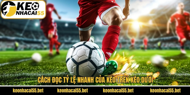 Cách đọc tỷ lệ nhanh của kèo trên kèo dưới