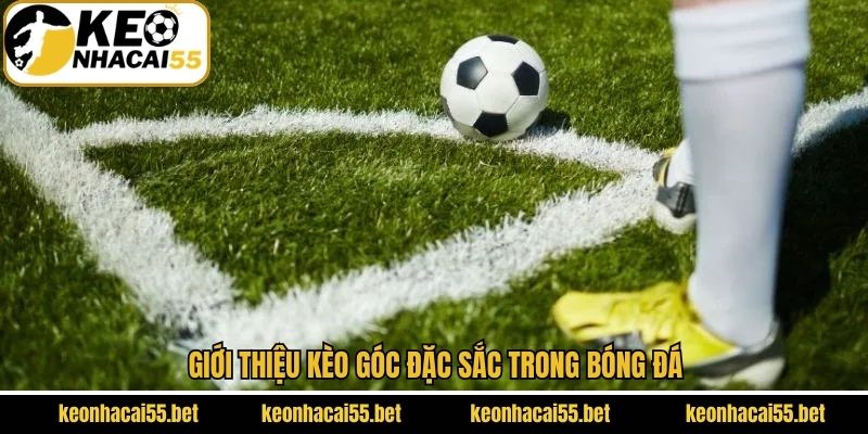 Giới thiệu về cược góc ở bóng đá