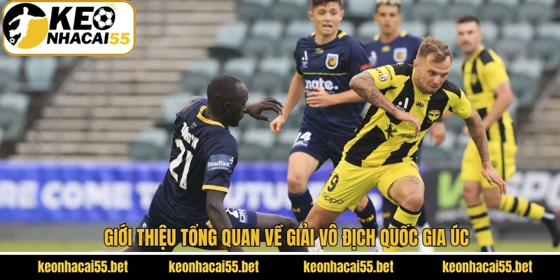 VĐQG Úc - Khám Phá Giải Đấu Hấp Dẫn Cùng Keonhacai 2 Điểm qua về giải vô địch quốc gia Australia