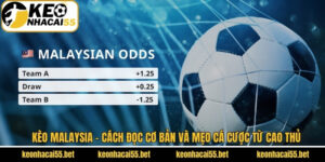 Kèo Malaysia - Cách Đọc Cơ Bản Và Mẹo Cá Cược Từ Cao Thủ