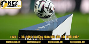 Ligue 1 - Giải Bóng Đá Đứng Hàng Đầu Của Đất Nước Pháp