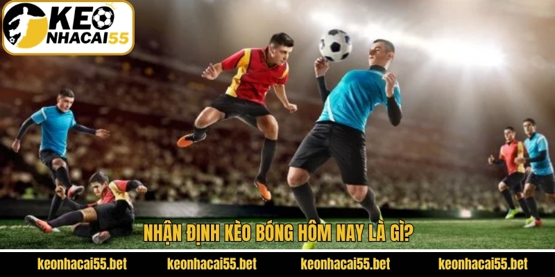 Khám phá chuyên mục được người hâm mộ quan tâm