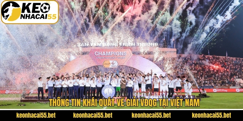 VĐQG Việt Nam - Giải Đấu Quốc Nội Được Người Hâm Mộ Quan Tâm 2 Khái quát chung về giải VĐQG V-League
