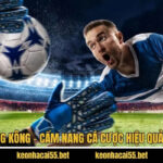 Tỷ Lệ Cược Hồng Kông - Cẩm Nang Cá Cược Hiệu Quả Cùng Keonhacai
