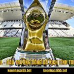 VĐQG Brazil – Đấu Trường Bóng Đá Kịch Tính Top 1 Nam Mỹ