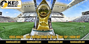 VĐQG Brazil – Đấu Trường Bóng Đá Kịch Tính Top 1 Nam Mỹ