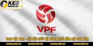 VĐQG Việt Nam - Giải Đấu Quốc Nội Được Người Hâm Mộ Quan Tâm 